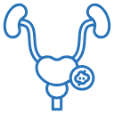 prostate