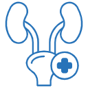 urology 1